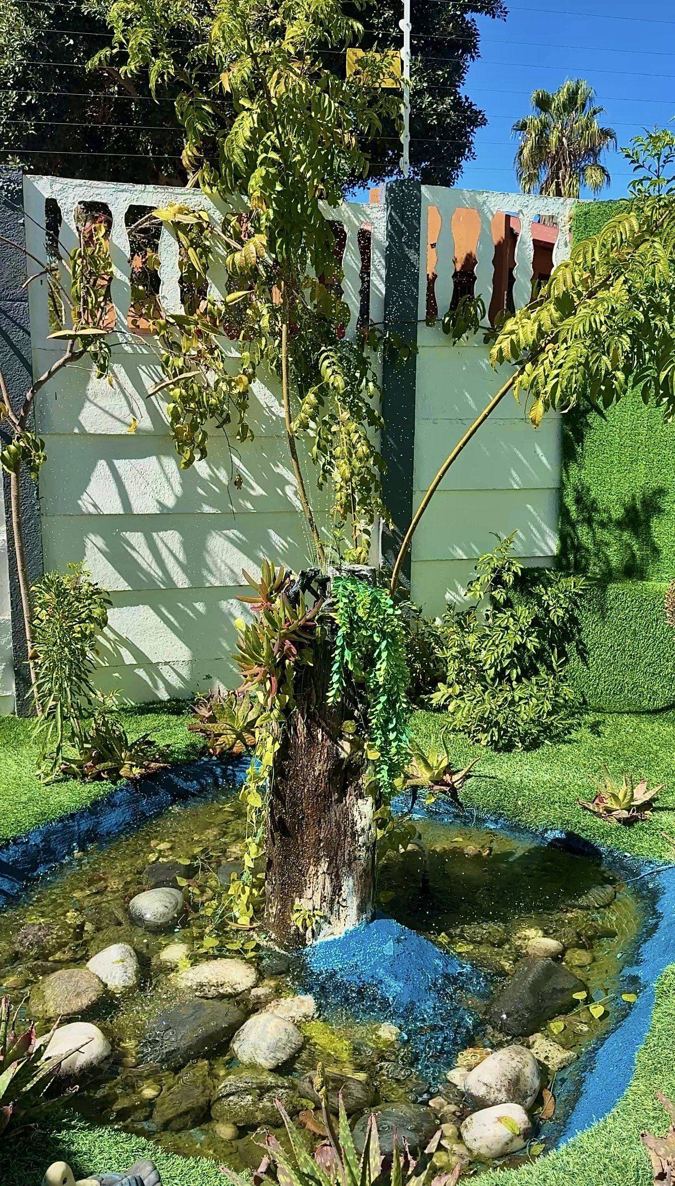 The garden pond and seating